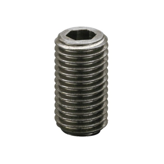 DIN 913 M2,5X10 INOX