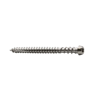 VIS TERRASSE TETE CYL TX 5X80 INOX A4