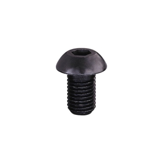 ANSI B18.3 BHCNO8NCX1/4 CL10.9