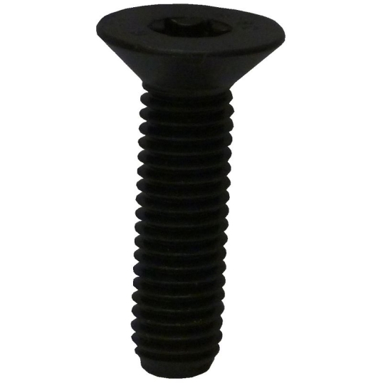 NFE25107 M6X25 CL8.8
